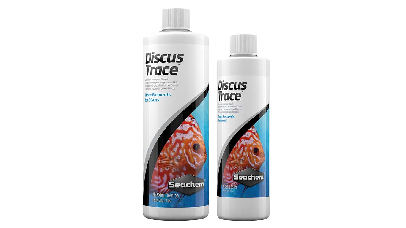 Seachem Discus Trace | Discus Tank | Freshwater Discus 