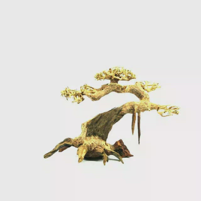 thumbnail image 2 of Bonsai Driftwood Aquarium Tree - 5 Inch Natural Handcrafted Fish Tank Decoration For Aquascaping 2 of 13