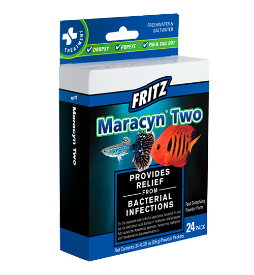 does maracyn treat columnaris, does maracyn 2 treat columnaris, maracyn 2 dropsy, maracyn 2 dosage, maracyn plus discontinued, maracyn erythromycin, maracyn 2 vs erythromycin, maracyn 2 side effects, what does erythromycin treat in fish, what erythromycin good for, does erythromycin kill beneficial bacteria, what are erythromycin tablets used to treat, maracyn fish