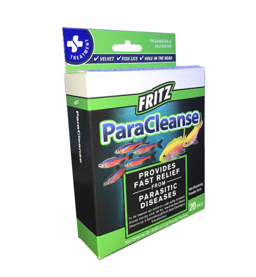 fish internal parasite treatment, aquarium fish parasite treatment, fish tank parasite treatment, aquarium fish internal parasite treatment, how to treat internal fish parasites, fish parasite medication, betta fish parasite treatment, best fish parasite treatment, betta fish internal parasite treatment, how to treat betta parasites, how to treat parasites in betta fish, how to get rid of parasites in betta fish, 