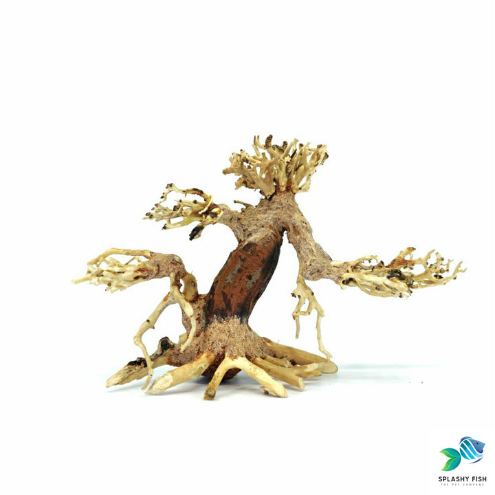 Driftwood Aquarium Aquascape Ideas | Bonsai Wood | betta driftwood | betta tank plants | betta plants |  bonsai clearance sale | bonsai decorations | bonsai mangrove tree