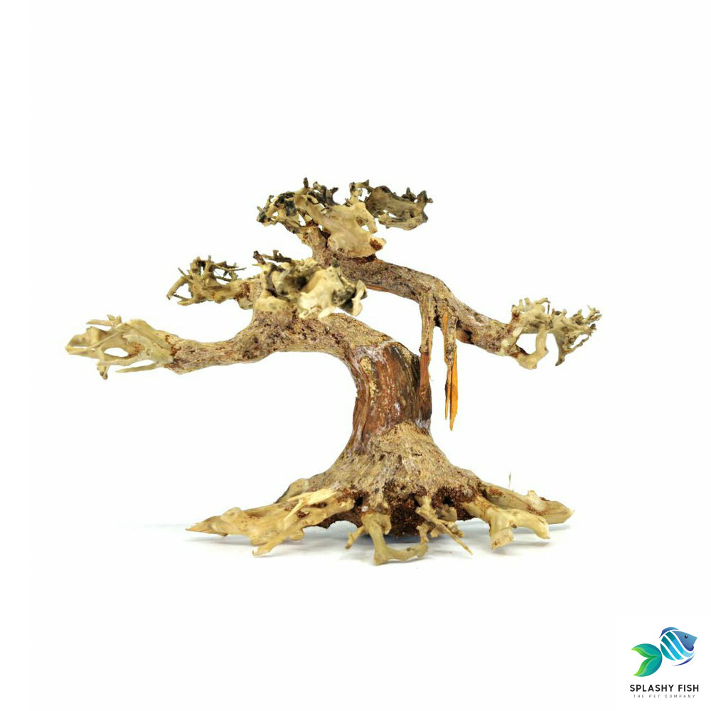 Aquascape Aquarium Driftwood For Sale | Aquarium Bonsai Tree | bonsai for fish tank | where to buy bonsai driftwood