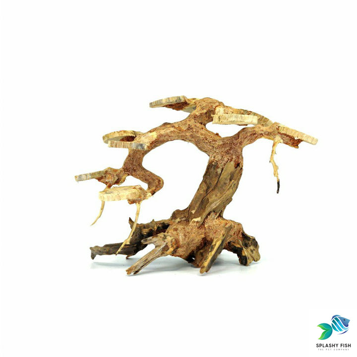 Aquarium Bonsai Tree | Bonsai Driftwood | bonsai fish tank decorations | bonsai koi | bonsai koi ponds | bonsai planted aquarium | bonsai pot with pond
